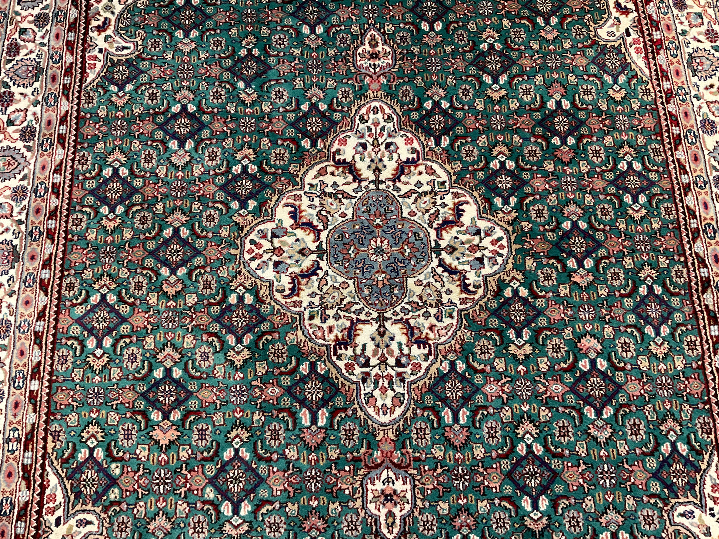 NU-5392 (Bidjar)