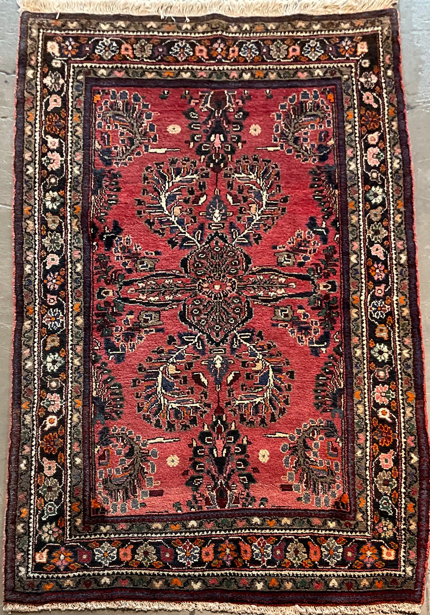 2171-H3X5-PK-BNTNORBLWT