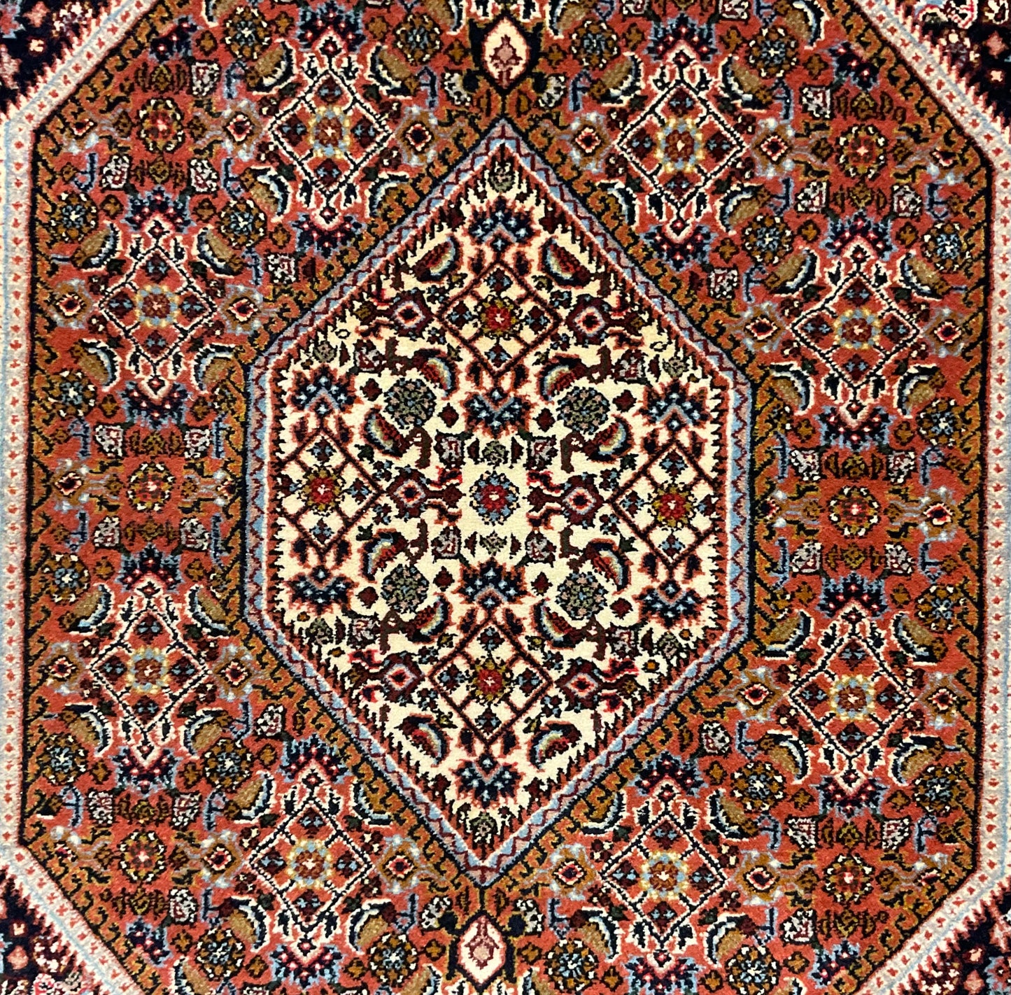 2228-H3X5-RD-WTBNBKBLOR