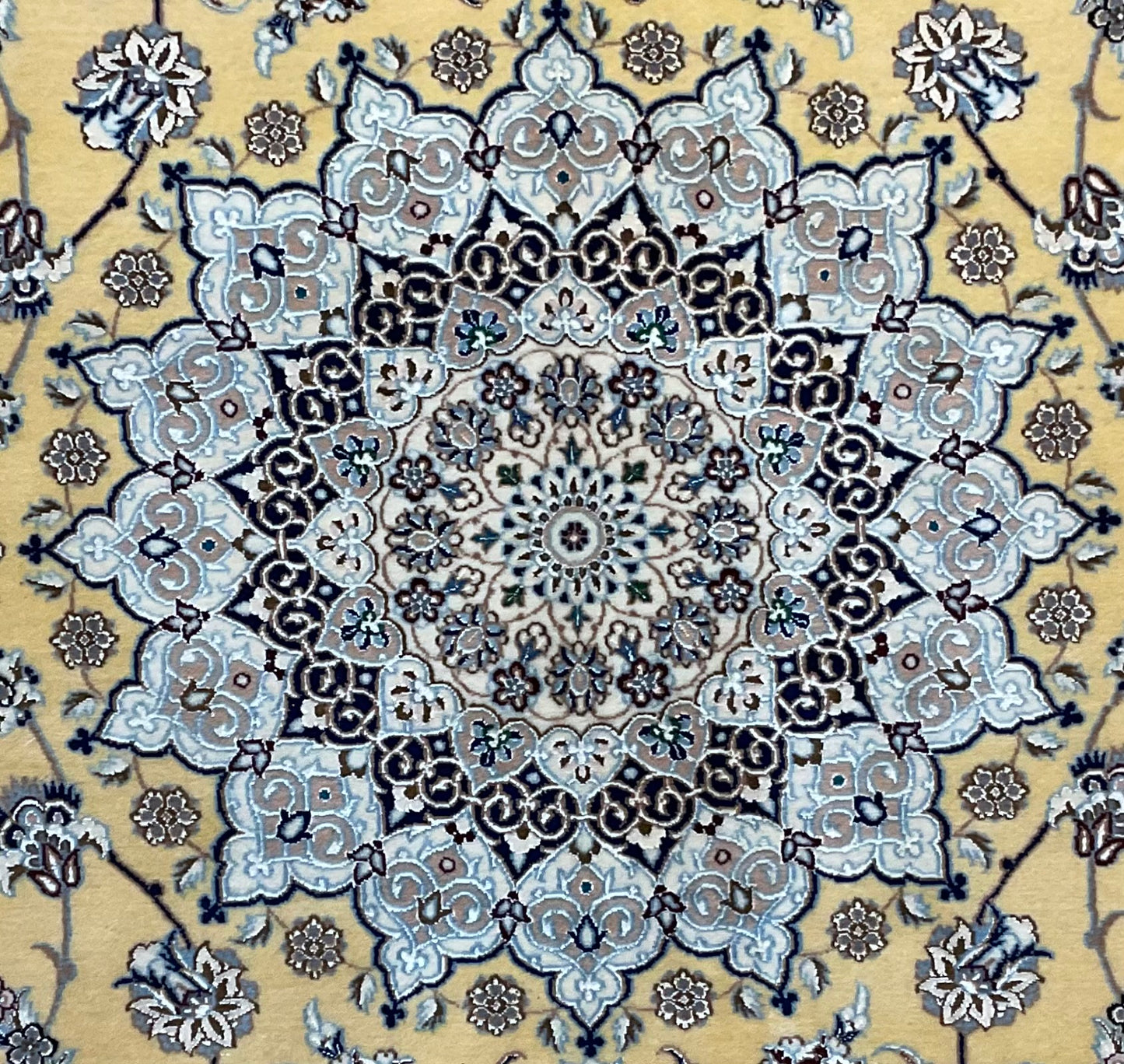 NU-2380 (Persian Nain)