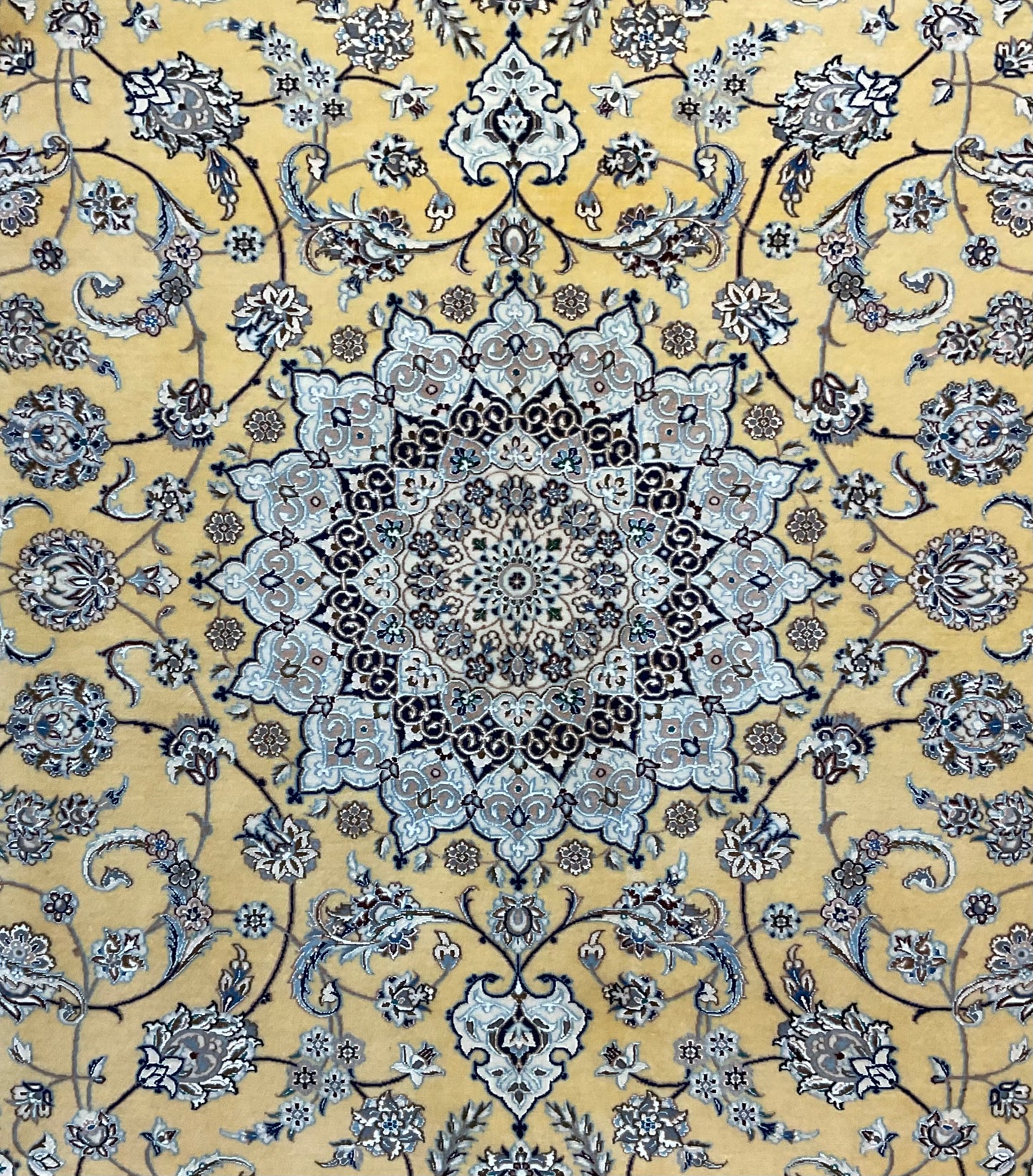 NU-2380 (Persian Nain)