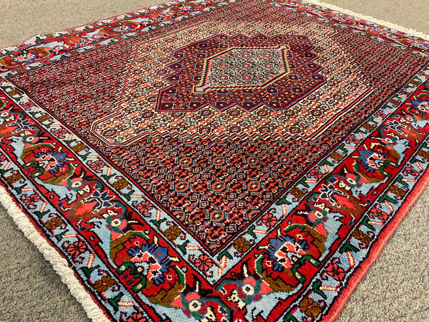 2435-H4X6-RD-BLGNBNWT