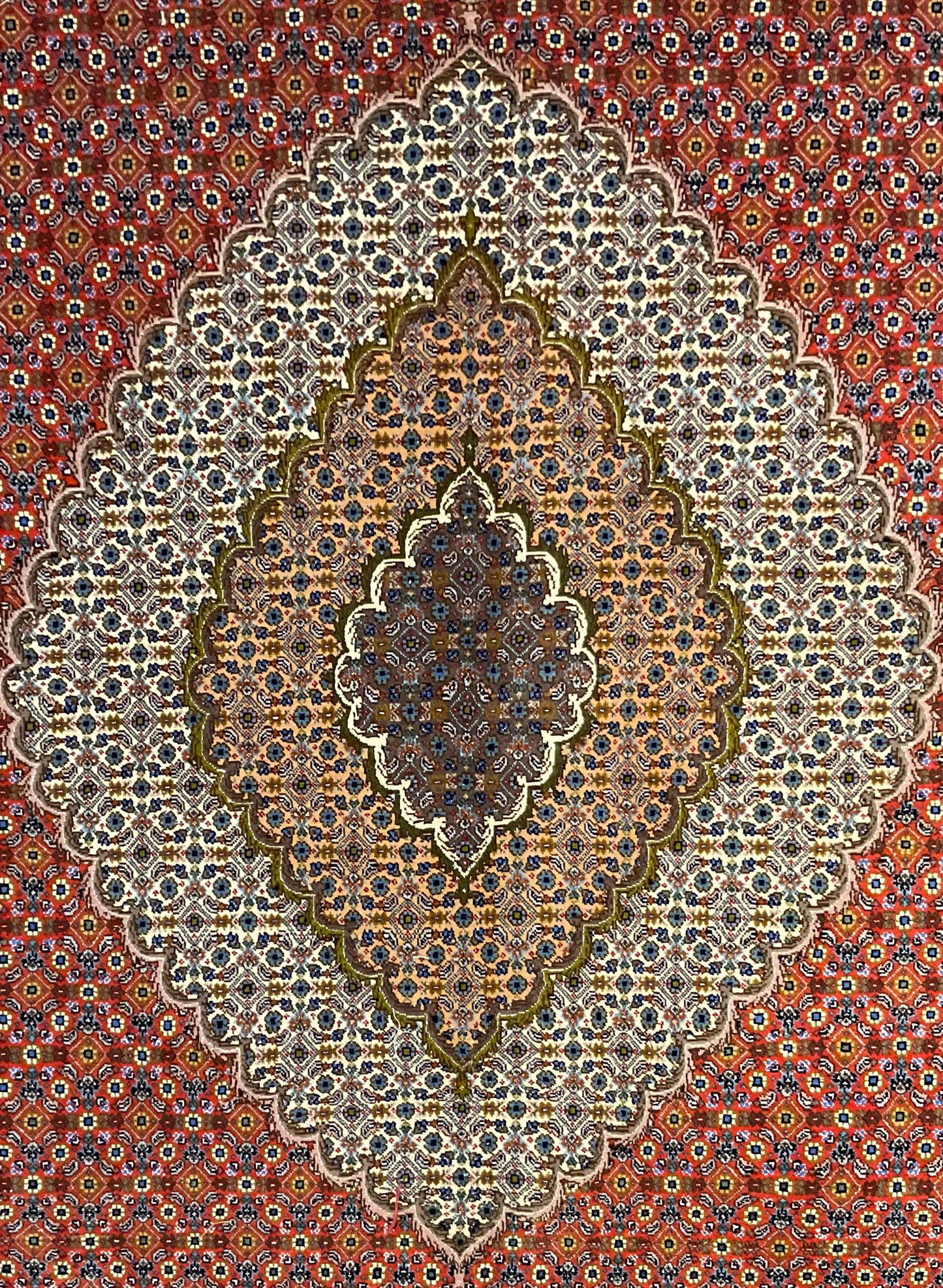 Perfect area  rug for traditional or transitional interiors | NU-4779