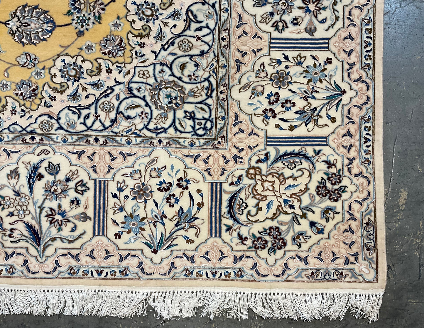 NU-2380 (Persian Nain)