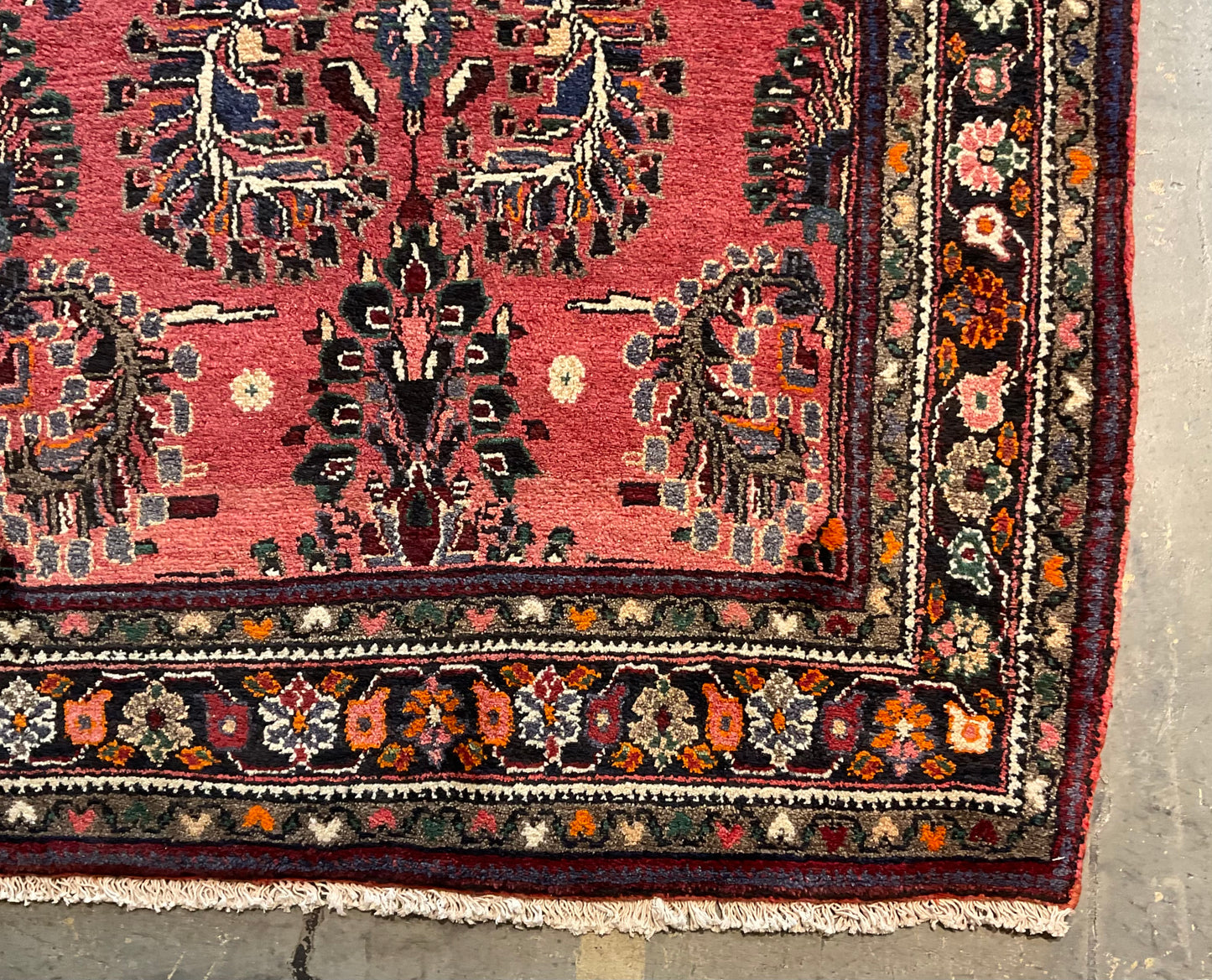 2171-H3X5-PK-BNTNORBLWT