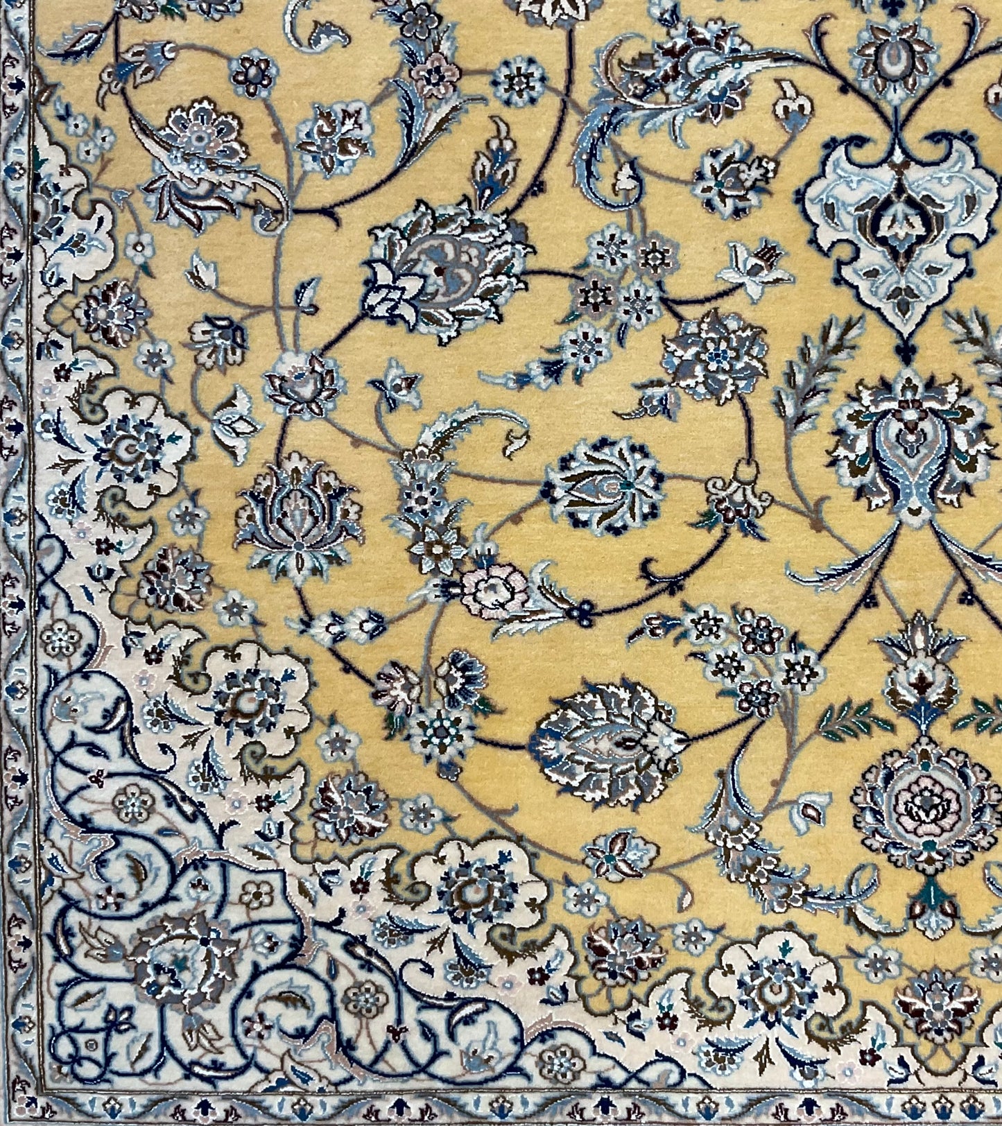 NU-2380 (Persian Nain)