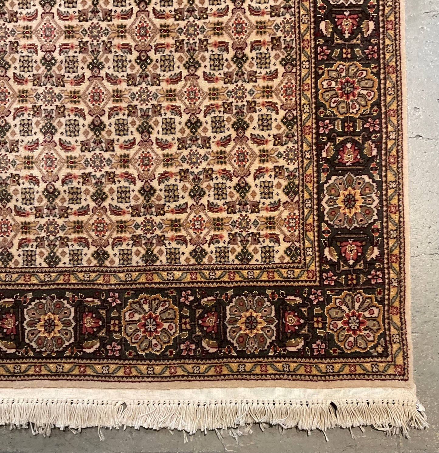 2677-H2X10-RD-TNBLGNGD