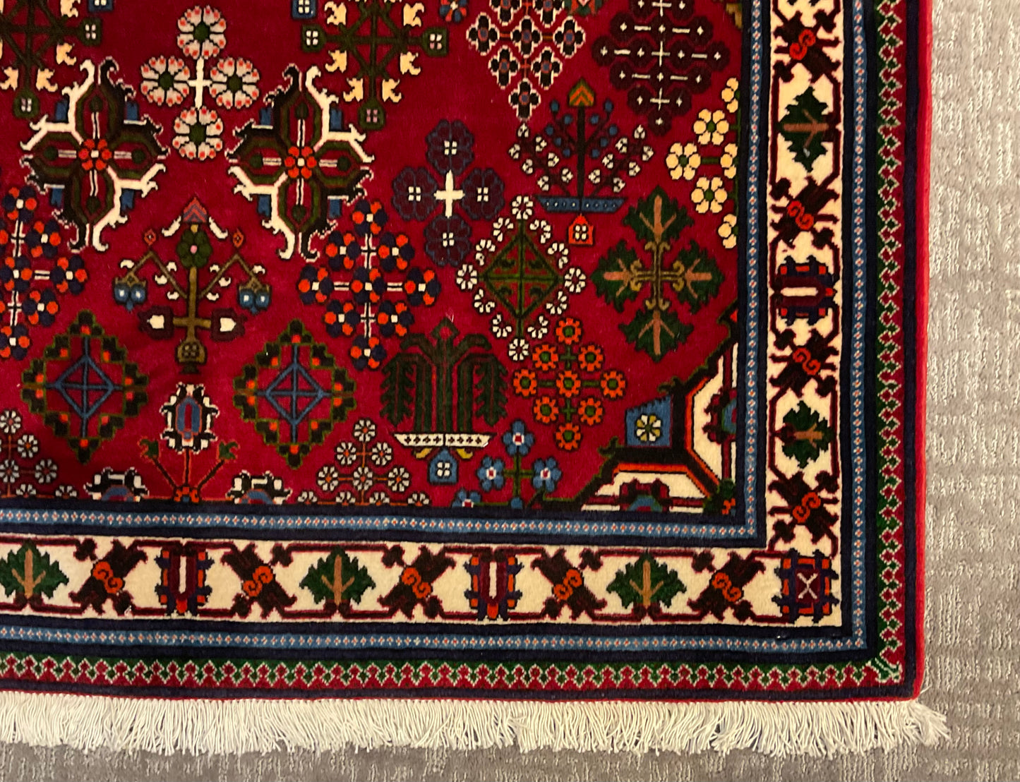 2565-H4X6-RD-CRGNBLOR