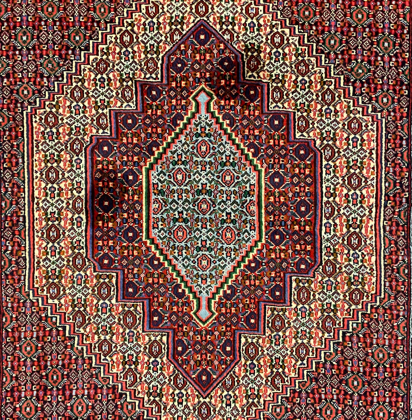 2435-H4X6-RD-BLGNBNWT