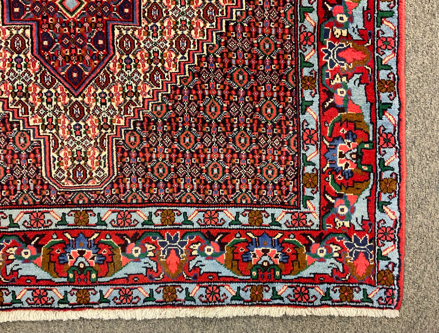 2435-H4X6-RD-BLGNBNWT