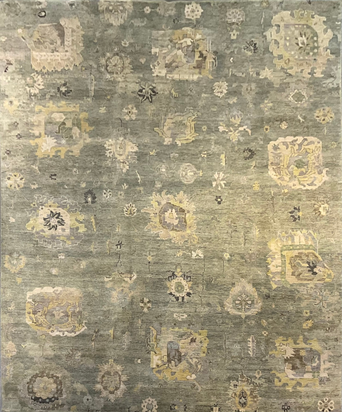 NU-8813