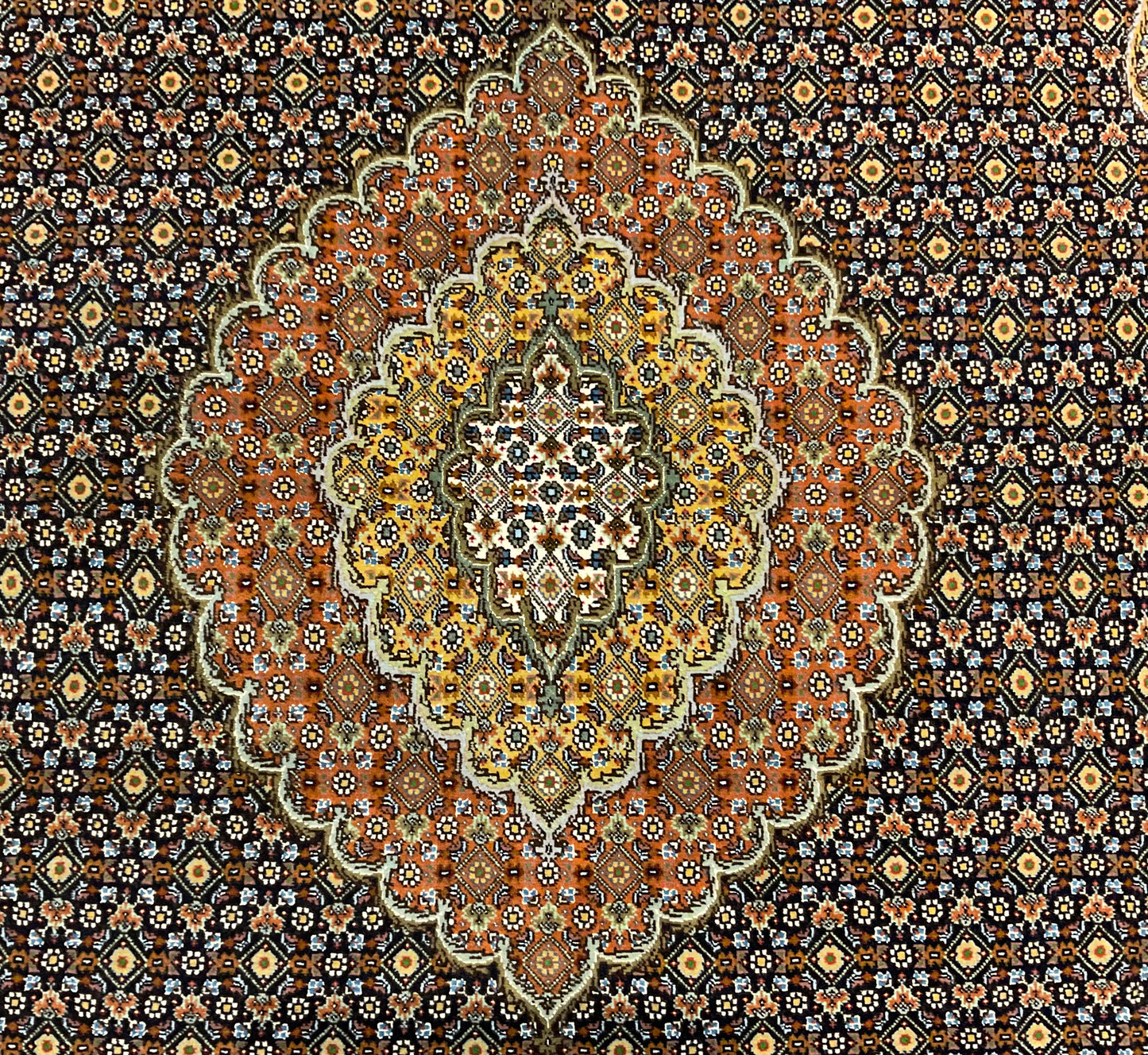 2081-H5X8-BK-BNWTGDGNRD