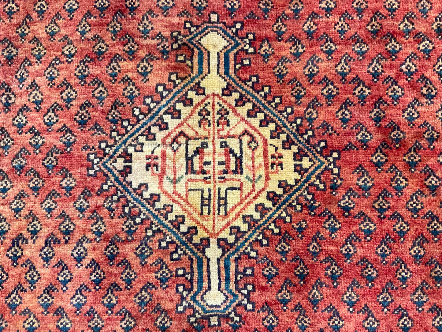 1993-H5X8-OR-RDYLBNGN