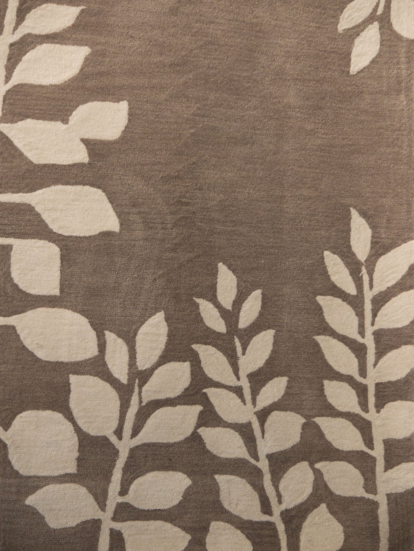 Arabica Shrub
