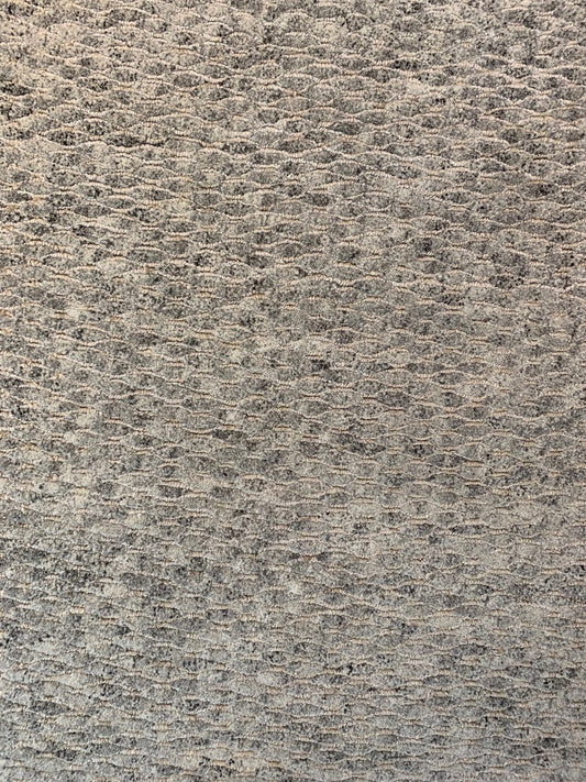 Fish Scales