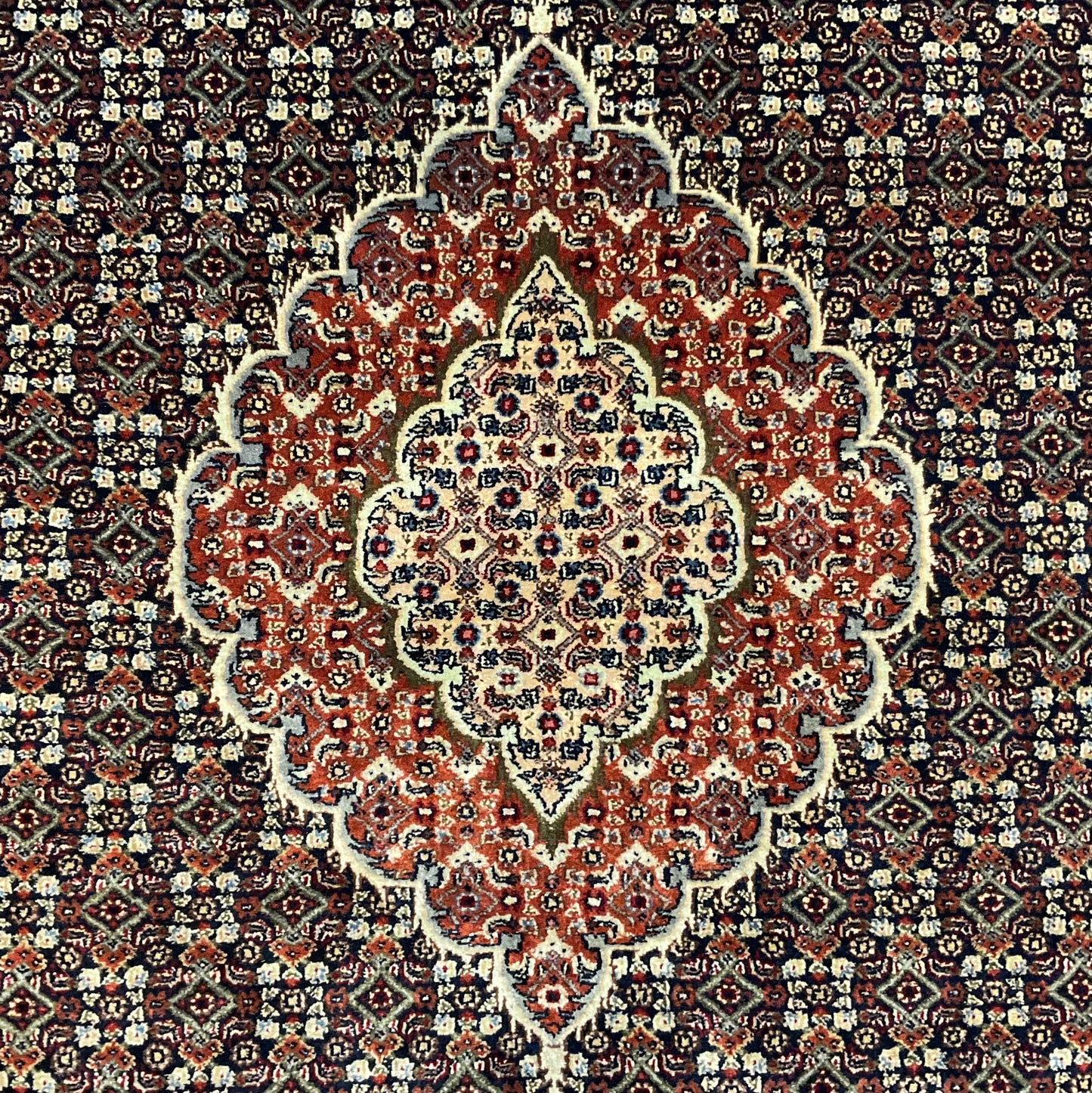 1853-H6X9-BL-CRRDGNBN