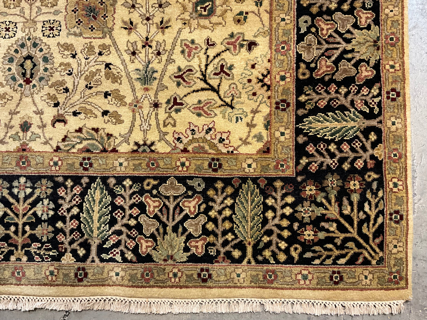 NU-5374 (Kashan)